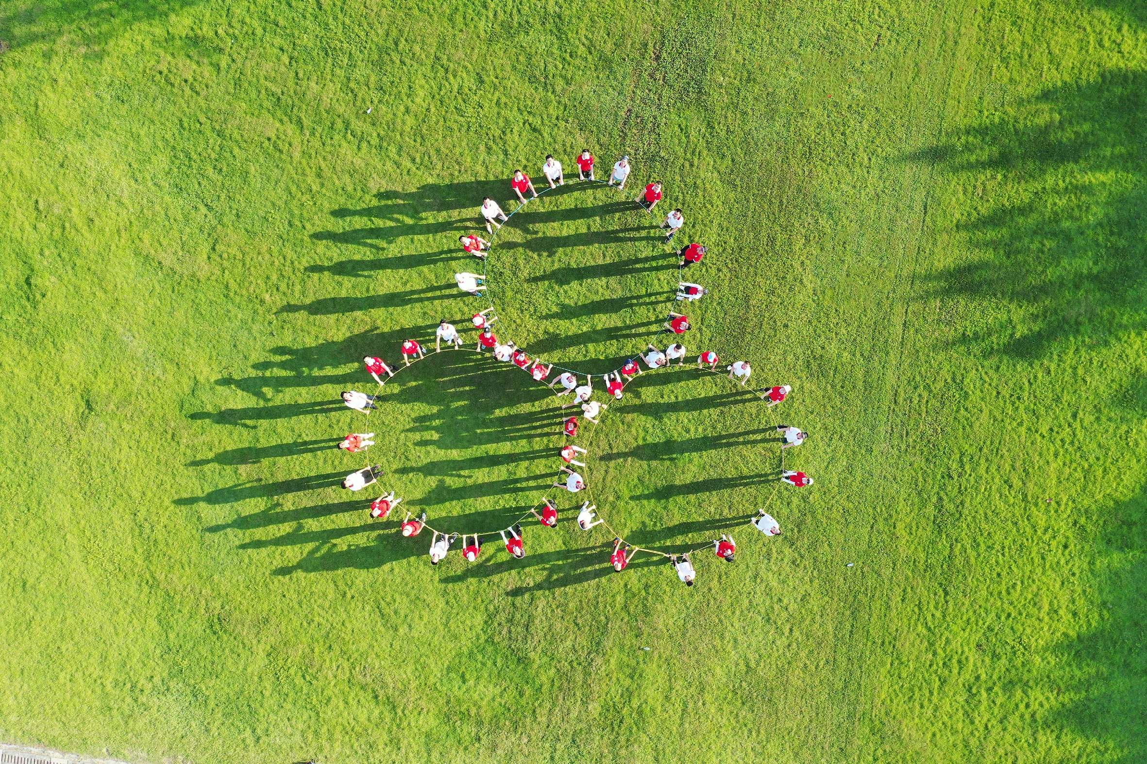 �Ϲ�NG��28(�й���)����Ʒ���������޹�˾